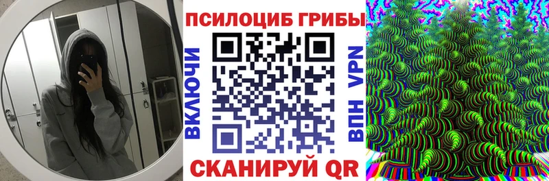 Галлюциногенные грибы Psilocybine cubensis где продают Юрьевец